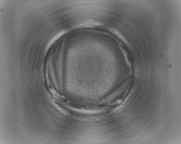 X0000070371026200606301851