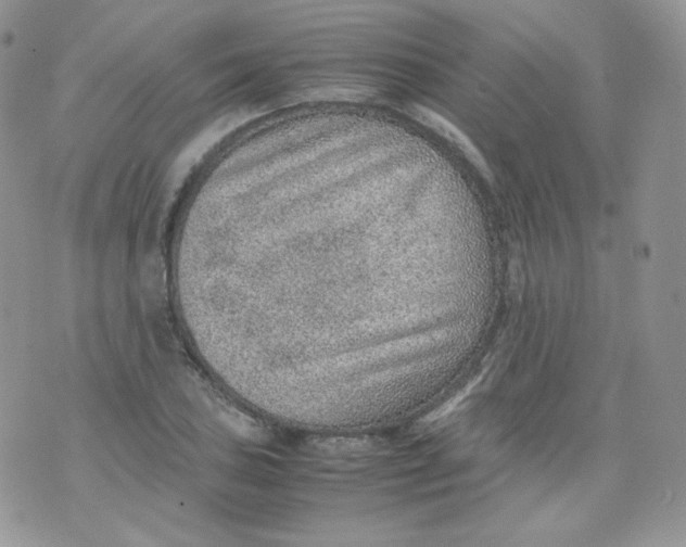 X0000070371027200606301851