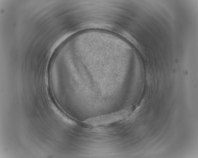 X0000070371028200606301851