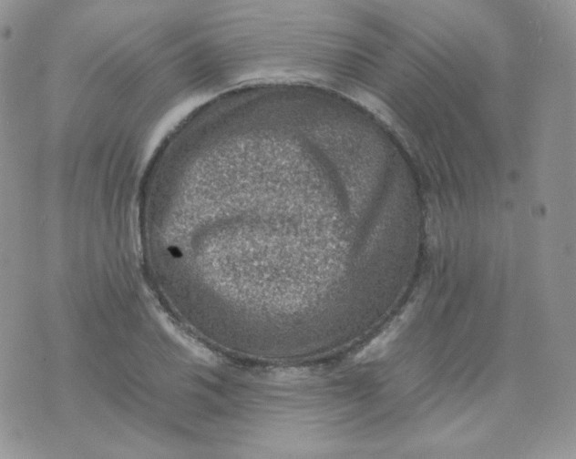 X0000070371030200606301851