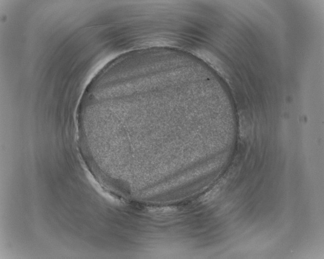 X0000070371031200606301851