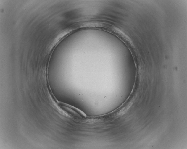 X0000070371033200606301851