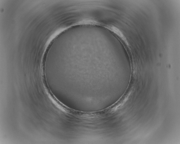 X0000070371037200606301851