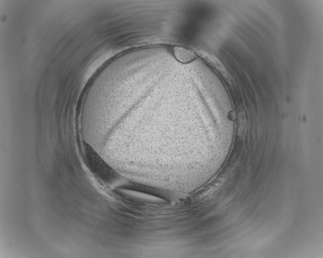 X0000070371039200606301851