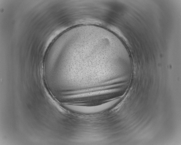 X0000070371040200606301851