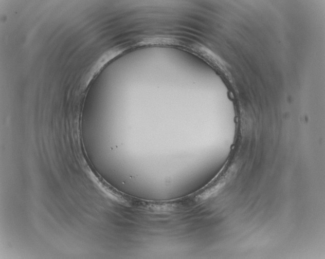 X0000070371041200606301851