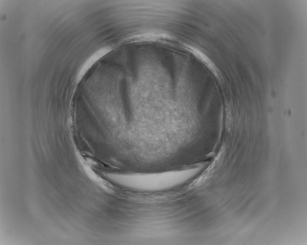 X0000070371042200606301851