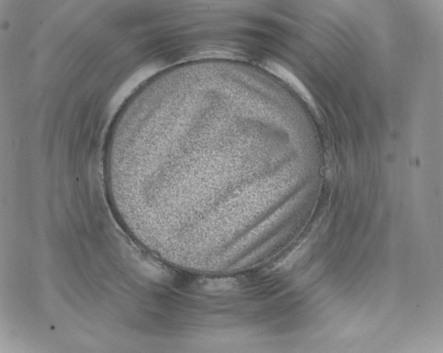 X0000070371043200606301851