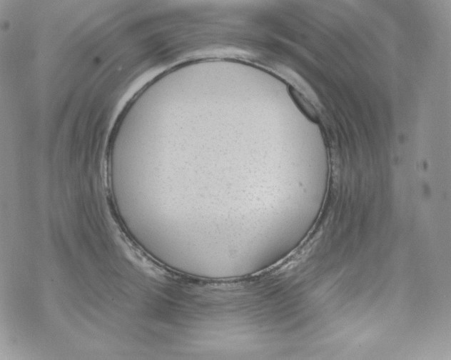 X0000070371044200606301851