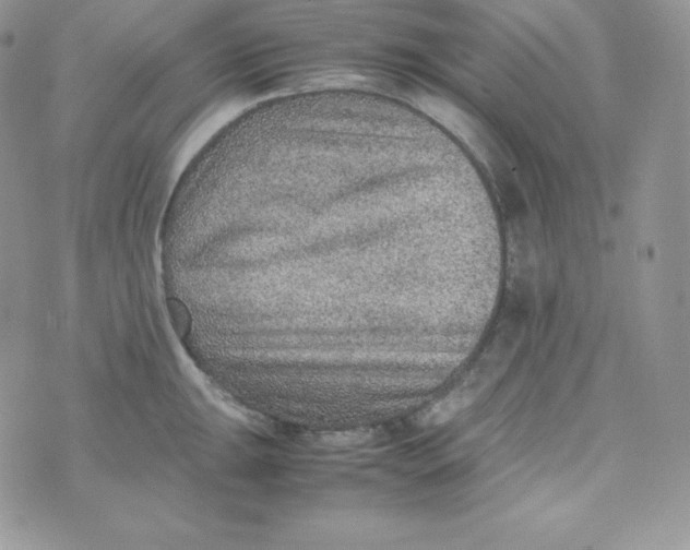 X0000070371047200606301851