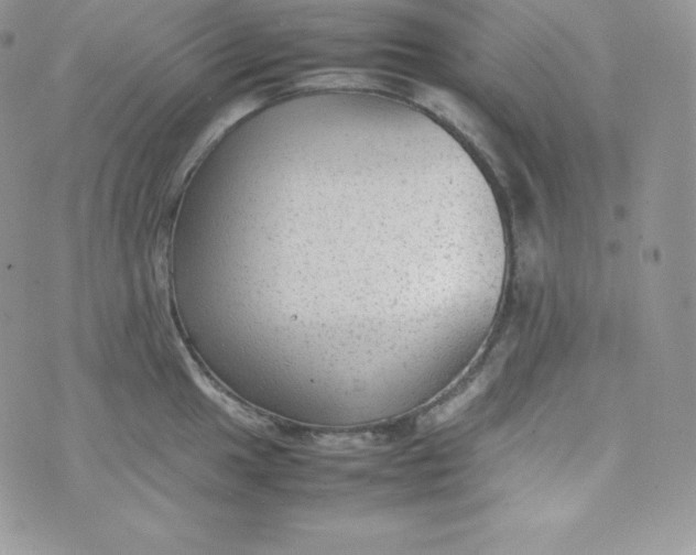 X0000070371049200606301851