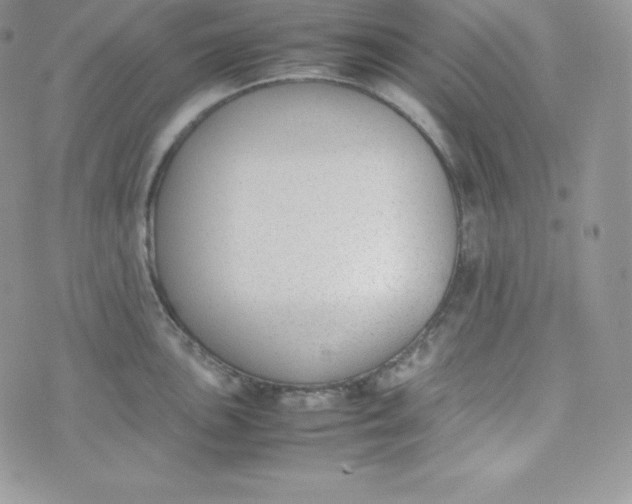 X0000070371051200606301851