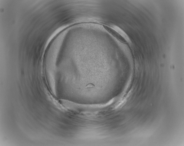 X0000070371052200606301851