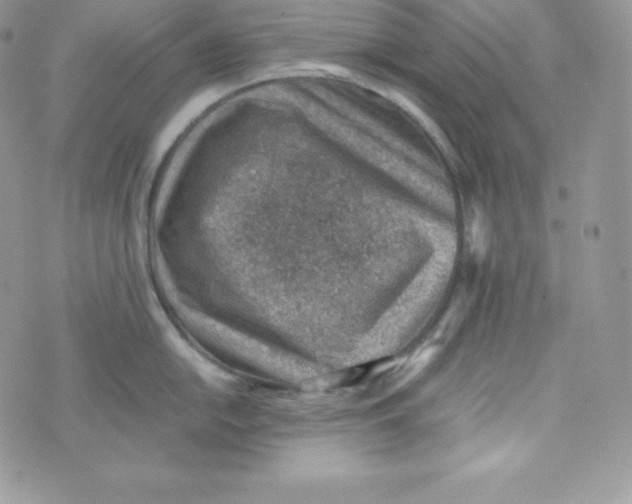 X0000070371054200606301851