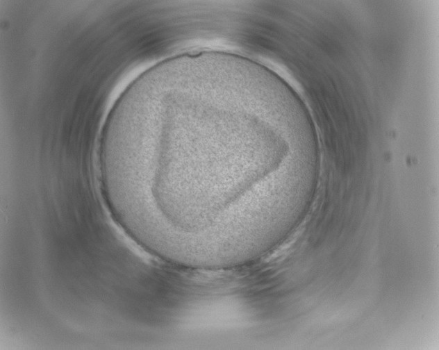 X0000070371056200606301851