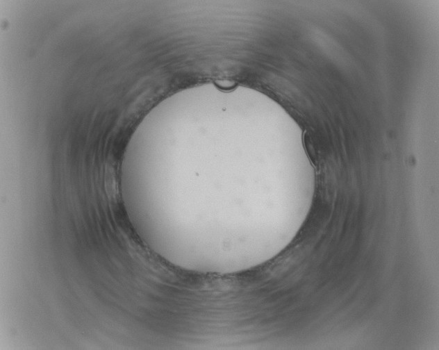 X0000070371058200606301851