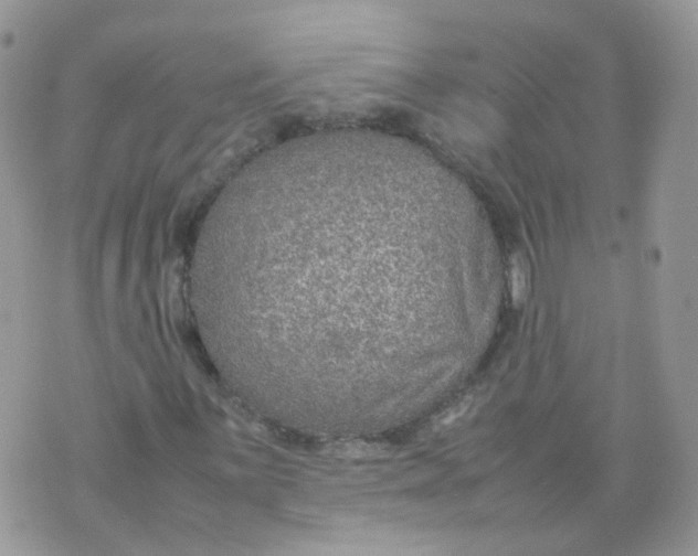 X0000070371059200606301851