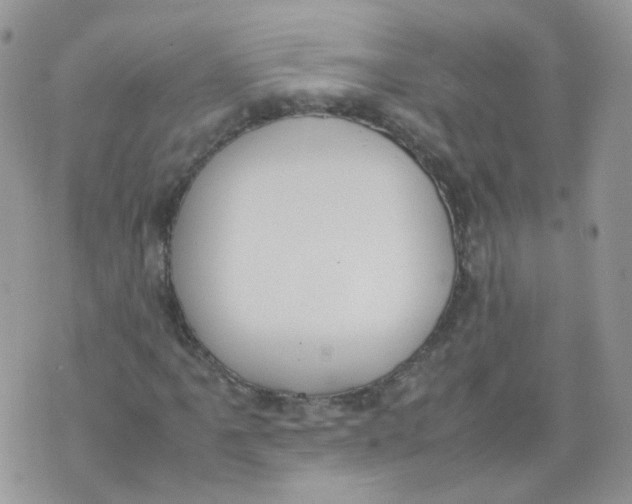 X0000070371061200606301851