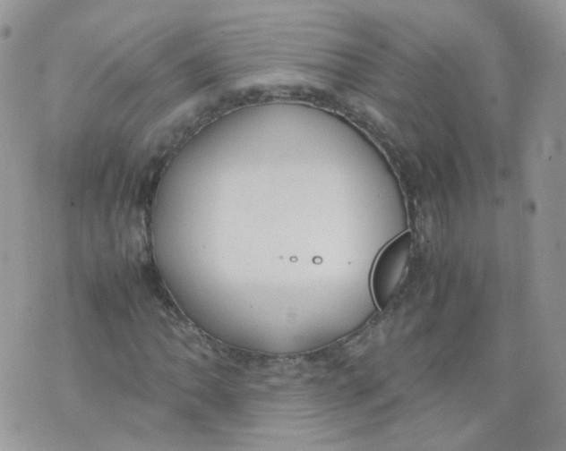 X0000070371062200606301851