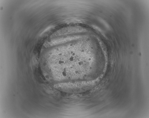 X0000070371063200606301851