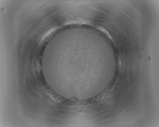 X0000070371064200606301851