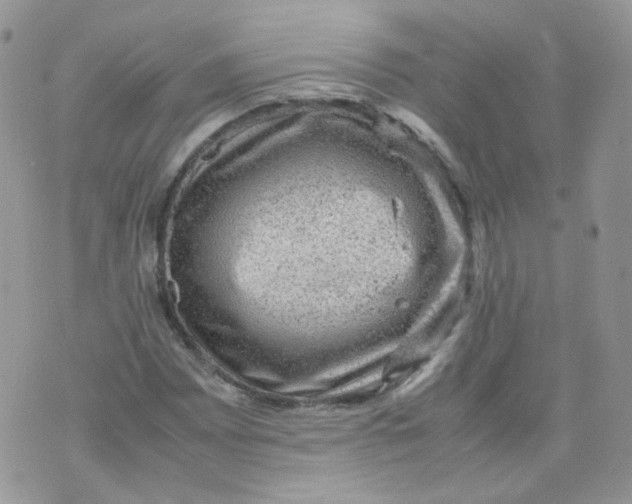 X0000070371065200606301851