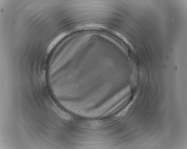 X0000070371066200606301851