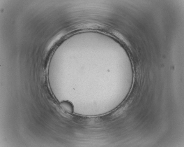 X0000070371067200606301850