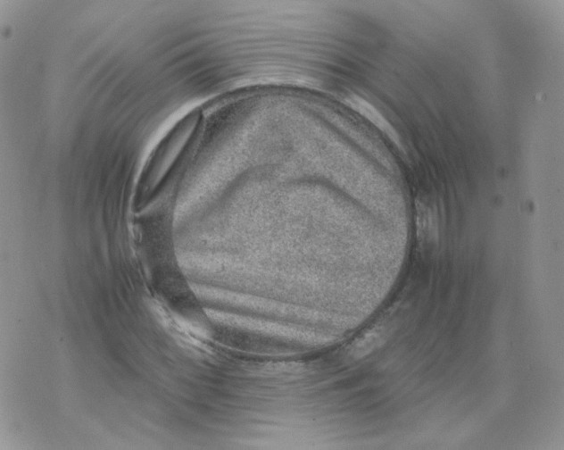 X0000070371068200606301850