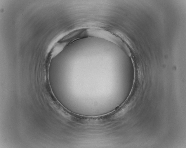 X0000070371069200606301850