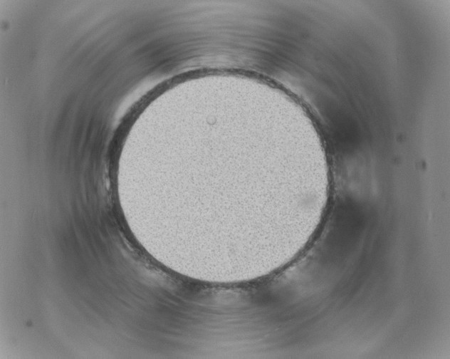 X0000070371070200606301850