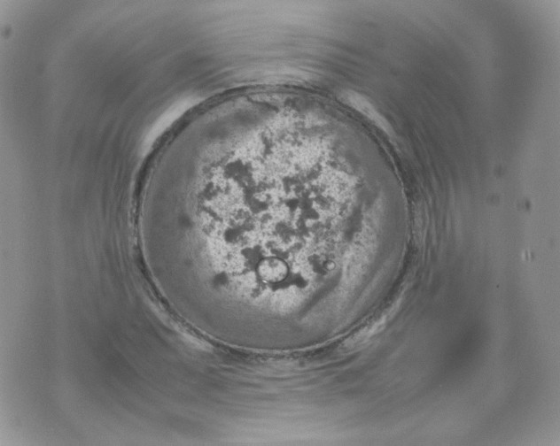 X0000070371071200606301850