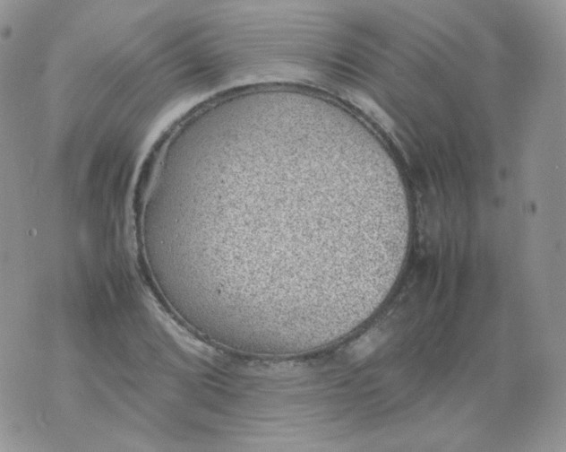 X0000070371072200606301850