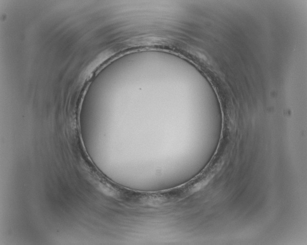 X0000070371073200606301850