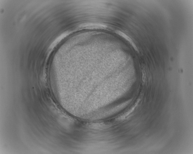 X0000070371074200606301850