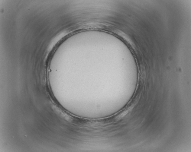 X0000070371075200606301850