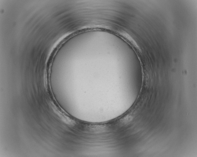 X0000070371076200606301850