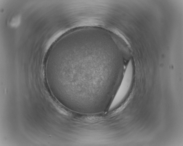 X0000070371077200606301850