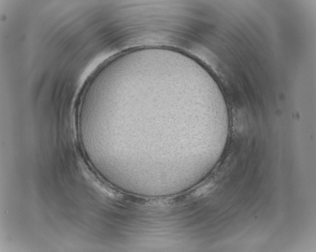 X0000070371078200606301850