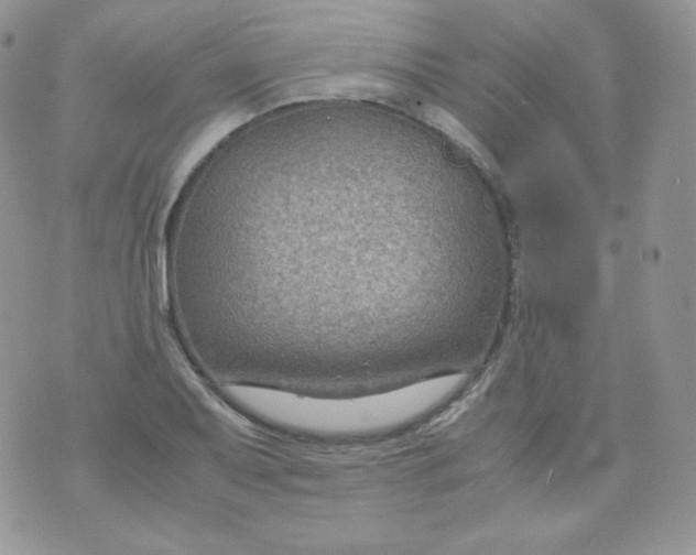 X0000070371079200606301850