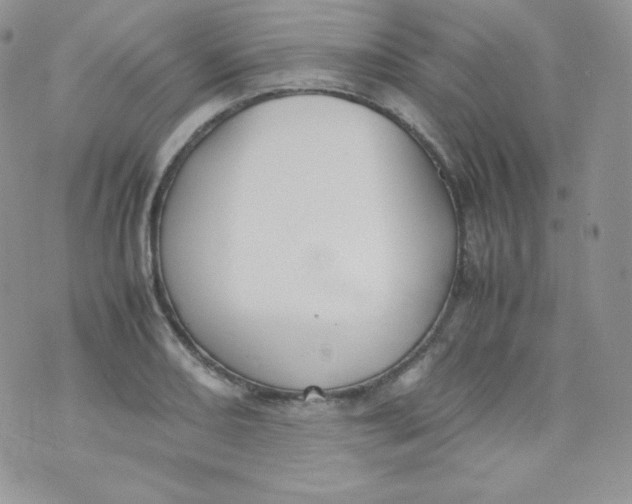 X0000070371082200606301850