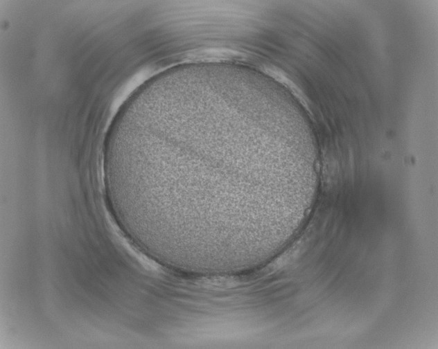 X0000070371083200606301850