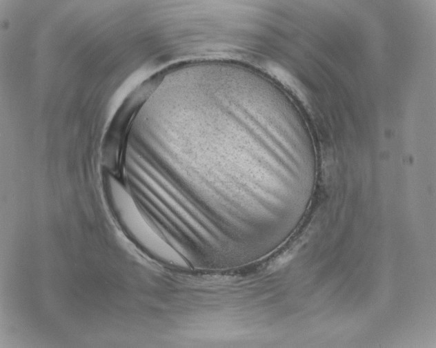 X0000070371085200606301850