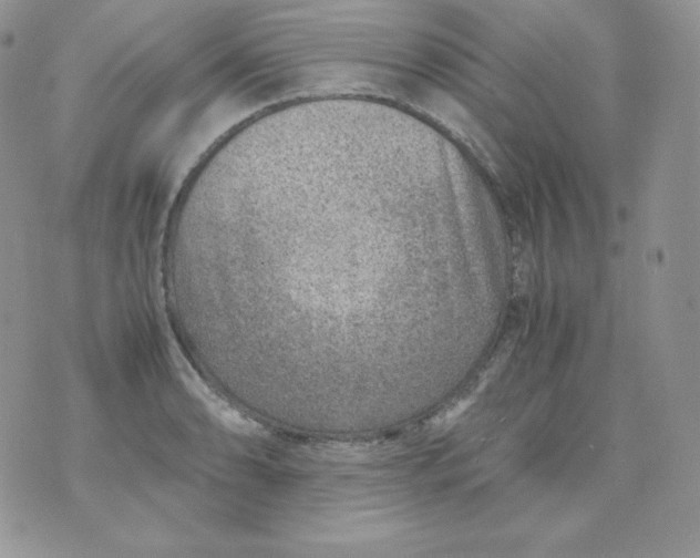 X0000070371086200606301850