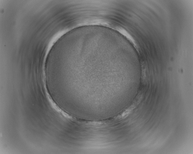 X0000070371088200606301850