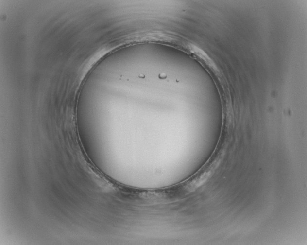 X0000070371089200606301850