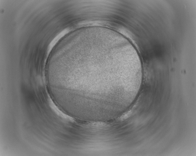 X0000070371090200606301850