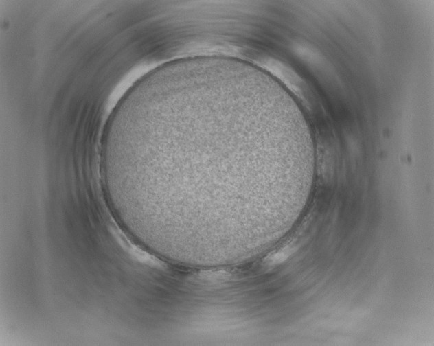 X0000070371094200606301850