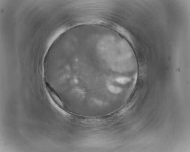 X0000070371095200606301850