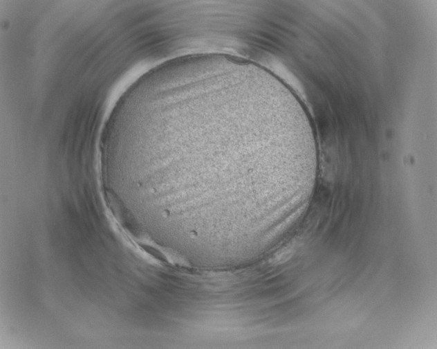 X0000070371096200606301850